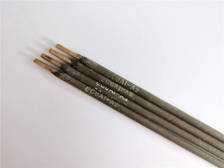ECUAl-A2 Electrode